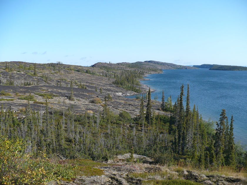 Northern Canadian Shield Taiga One Earth